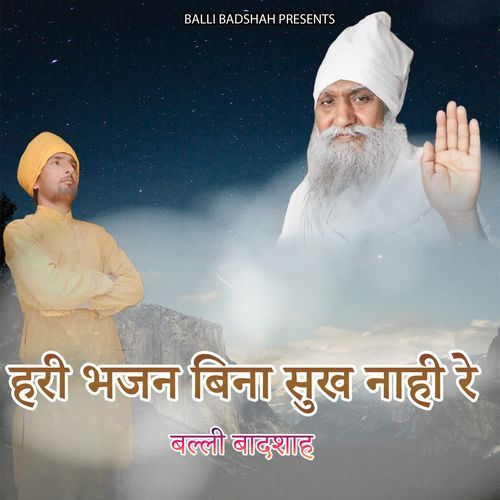 हरी भजन बिना सुख नाही रे
