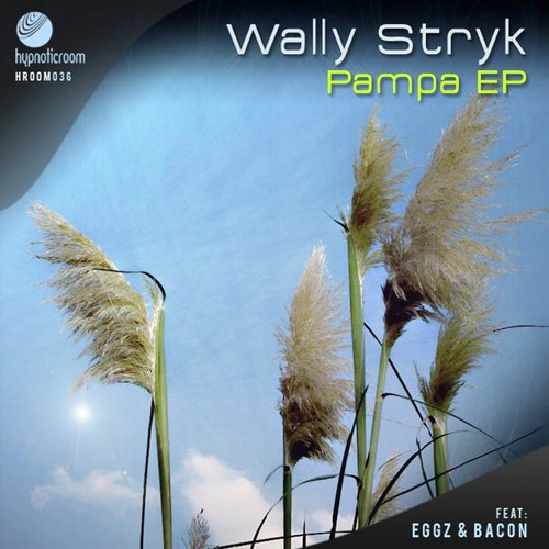Pampa (Original Mix) cover art