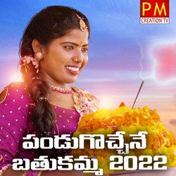 Pandugochene Bathukamma 2022-PD8IQxZaU30