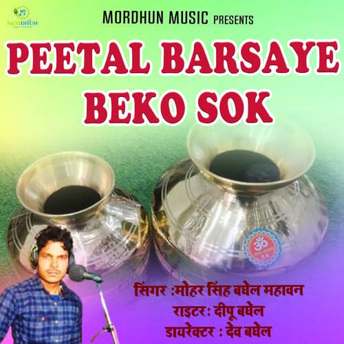 Peetal Barsaye Beko Sok