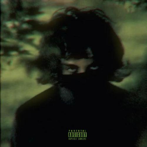 Misantropo cover art