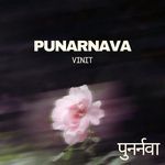 Punarnava
