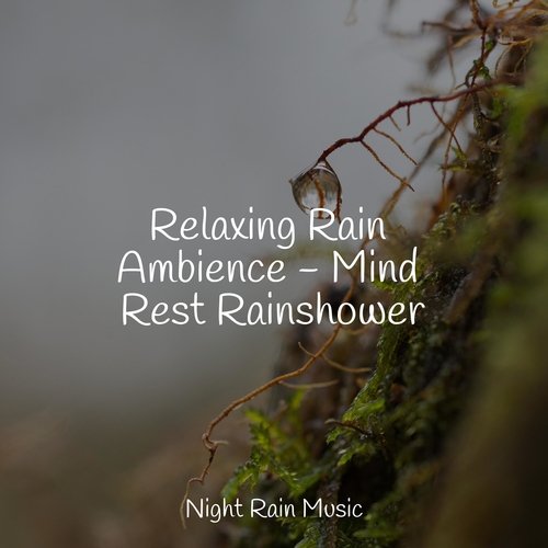 Relaxing Rain Ambience - Mind Rest Rainshower_poster_image