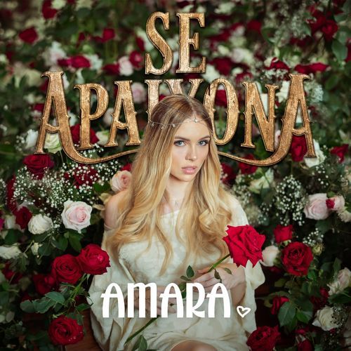 Se Apaixona