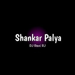 Shankar Palya (Remix)