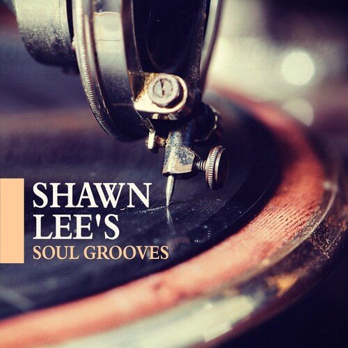 Shawn Lee&#039;s Soul Grooves