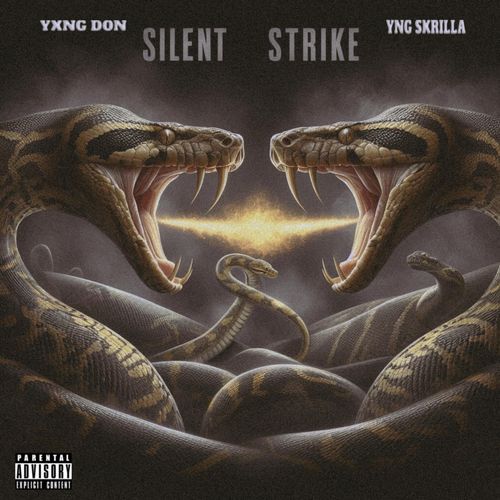 Silent Strike cover art