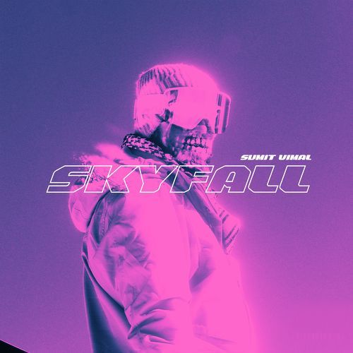 Skyfall (Remix)