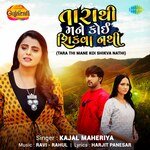 Tara Thi Mane Koi Shikva Nathi