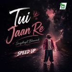 Tui Jaan Re (Speed up)