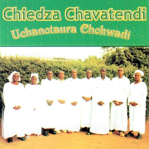 Bvisai Dombo cover art