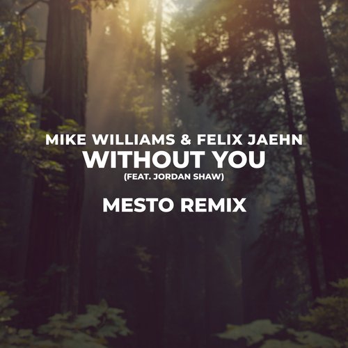 Without You (Mesto Remix)_poster_image