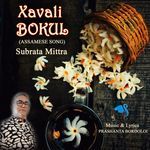Xavali Bakul