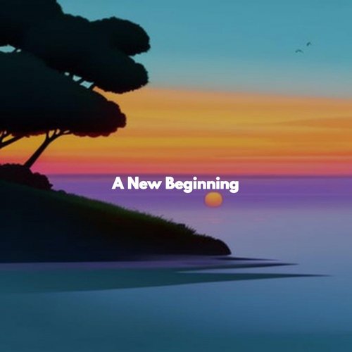 Casual Momentum Reflection cover art
