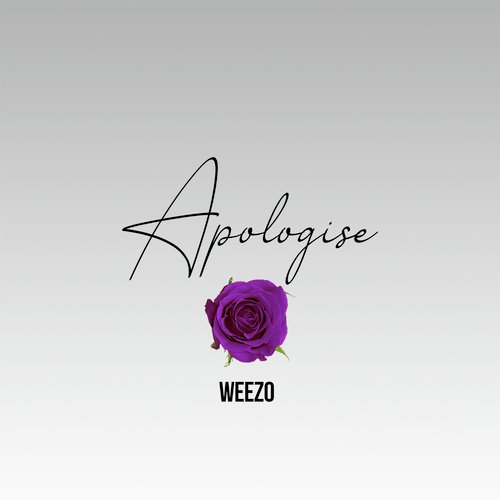 Apologise_poster_image