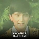 Badakhshi (موسیقی فولکلور "بدخشی" با صدای حسیب کشمی)