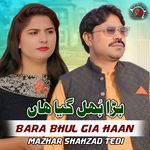 Bara Bhul Gia Haan