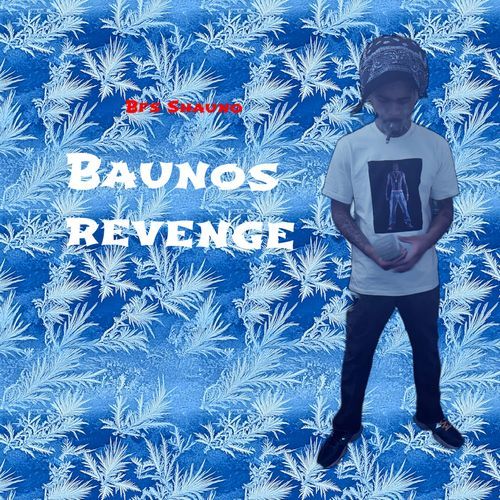 Demure cover art