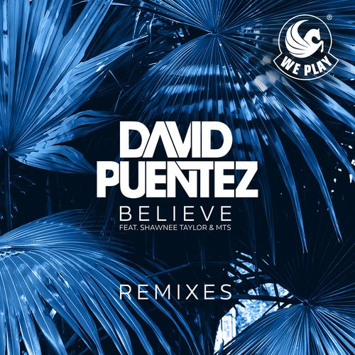 Believe (feat. Shawnee Taylor &amp; MTS) (Remixes)_poster_image