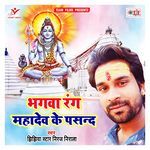 Bhagwa Rang Mahadev Ke