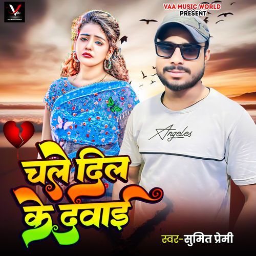 Chale Dil Ke Dawai