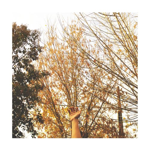 Cabizbajo II cover art