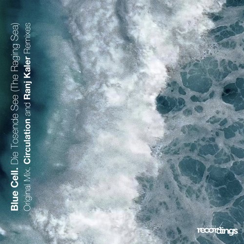 Die Tosende See (The Raging Sea)
