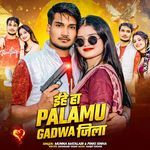 Ehe Ha Palamu Gadwa Jila