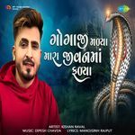 Gogaji Malya Mara Jivan Ma Falya