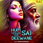 Hum Tumhare Hain Sai Deewane