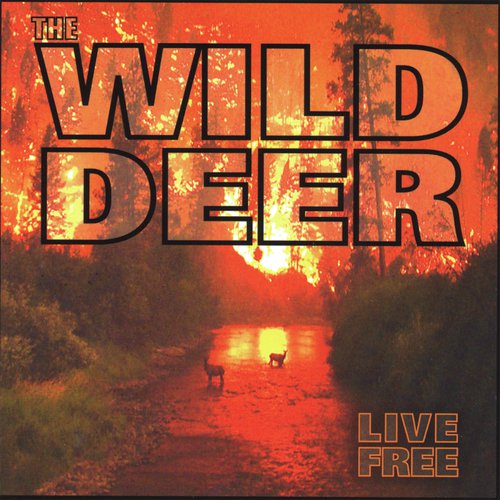 Danny Felter cover art