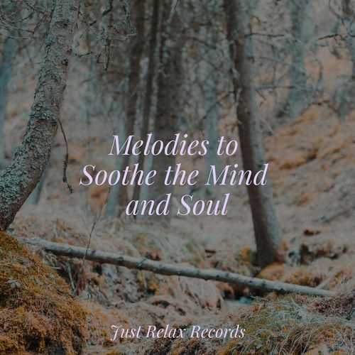 Melodies to Soothe the Mind and Soul