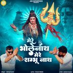 Mere Bhole Nath Mere Shambhu Nath