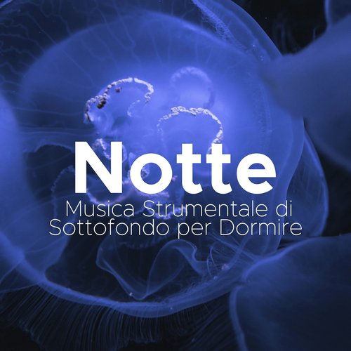 Musica per Studiare cover art