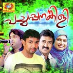 Vellinilavinte