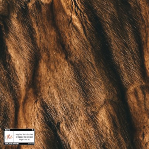 Pele de Urso cover art