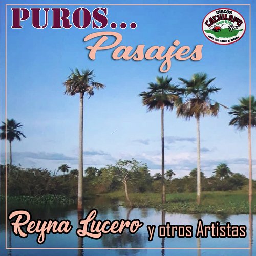 Puros Pasajes