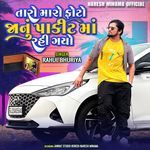 Rahul Bhuriya - Taro Maro Photo Janu Pakit Ma Rahi Gayo artwork