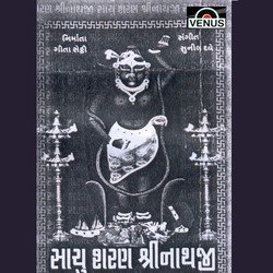 Shreeji Bava Pyara-RTInVxsJA1I