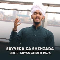 Sayyeda Ka Shehzada-BxIMUCtgBFQ