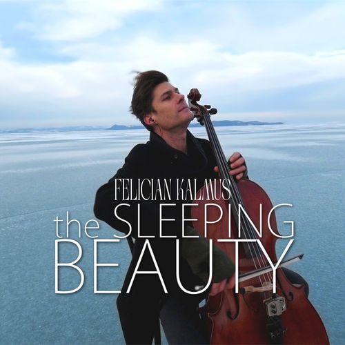 Sleeping Beauty cover art