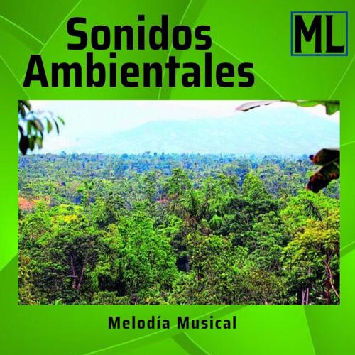 Sonidos Ambientales