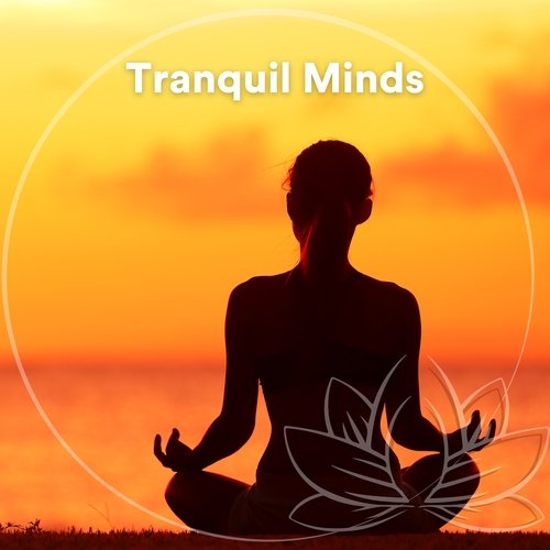 Tranquil Minds (Ambient New Age Music)_poster_image