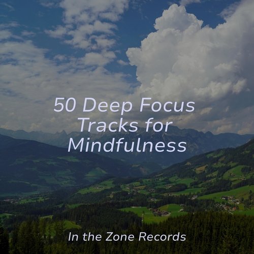 50 Deep Focus Tracks for Mindfulness