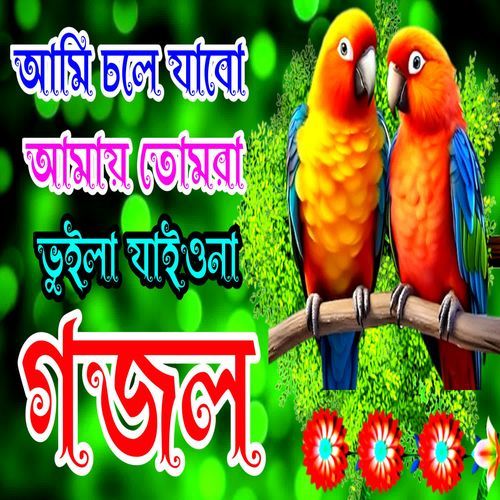 Ami Chole Jabo Amay Tumra Buila Jaiona