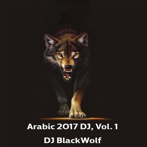 Arabic 2017 DJ, Vol. 1