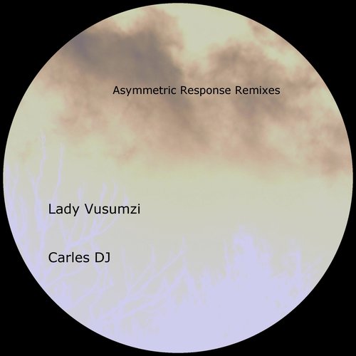 Asymmetric Response (Carles DJ Remix) cover art