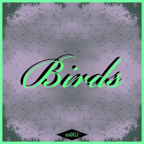 BIRDS (feat. Quarterjack)