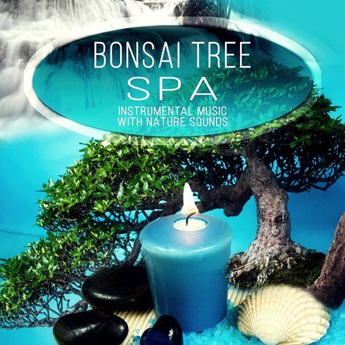 Nature Soundscapes cover art