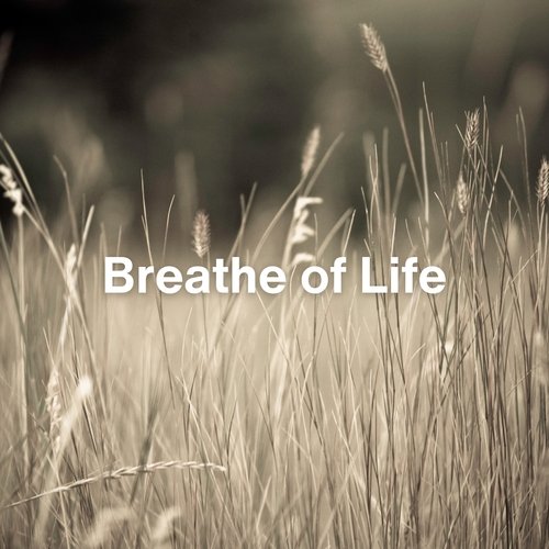 Breathe of Life_poster_image